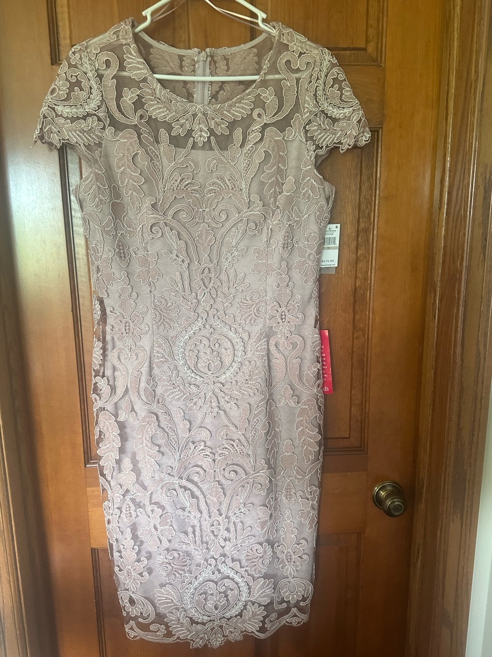 Alex Evenings Dusty Rose Lace Midi Dress
